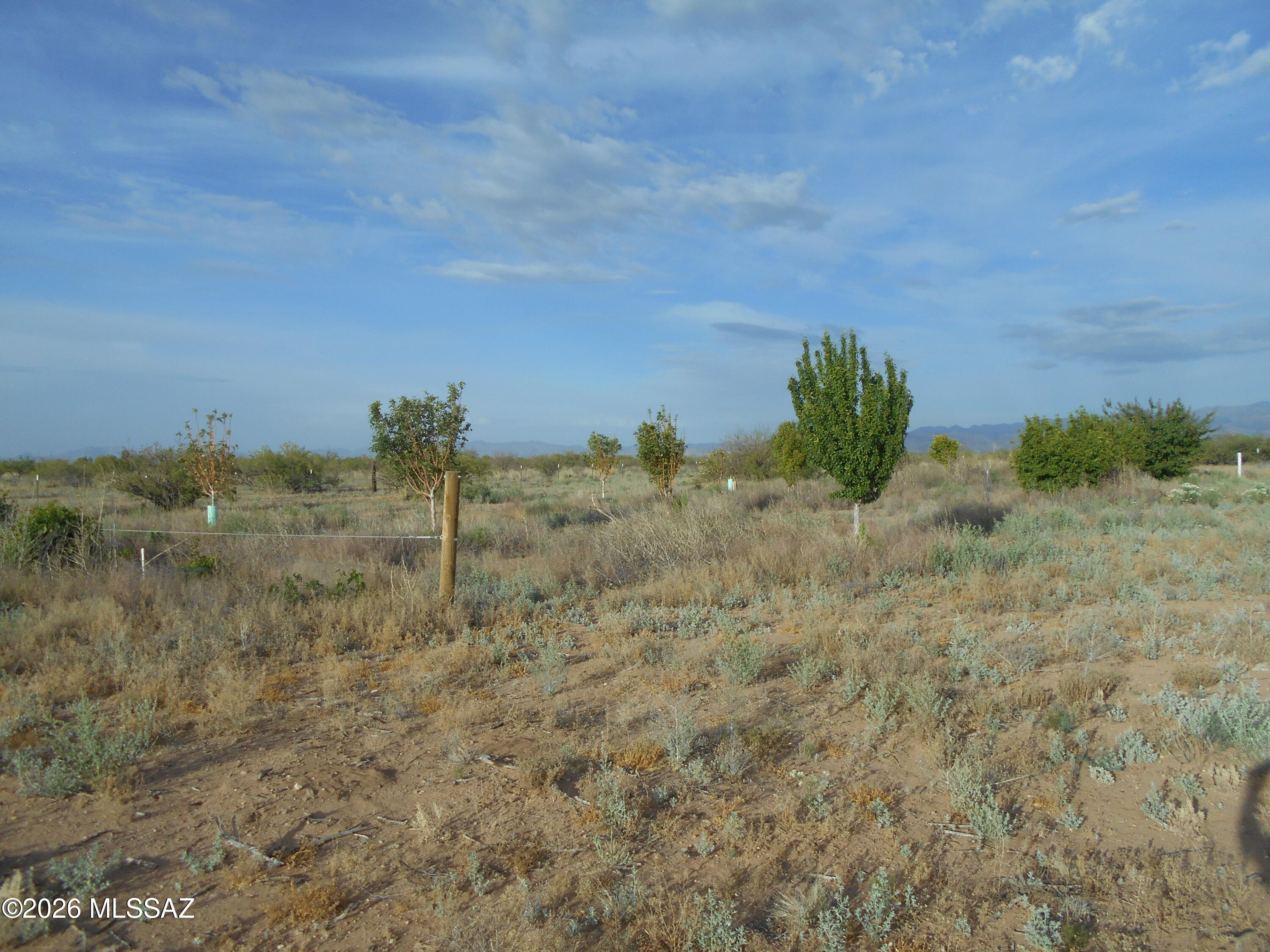 13684 South Tyree Road, Unit 70 Pearce, AZ 85625 - Photo 13 of 37