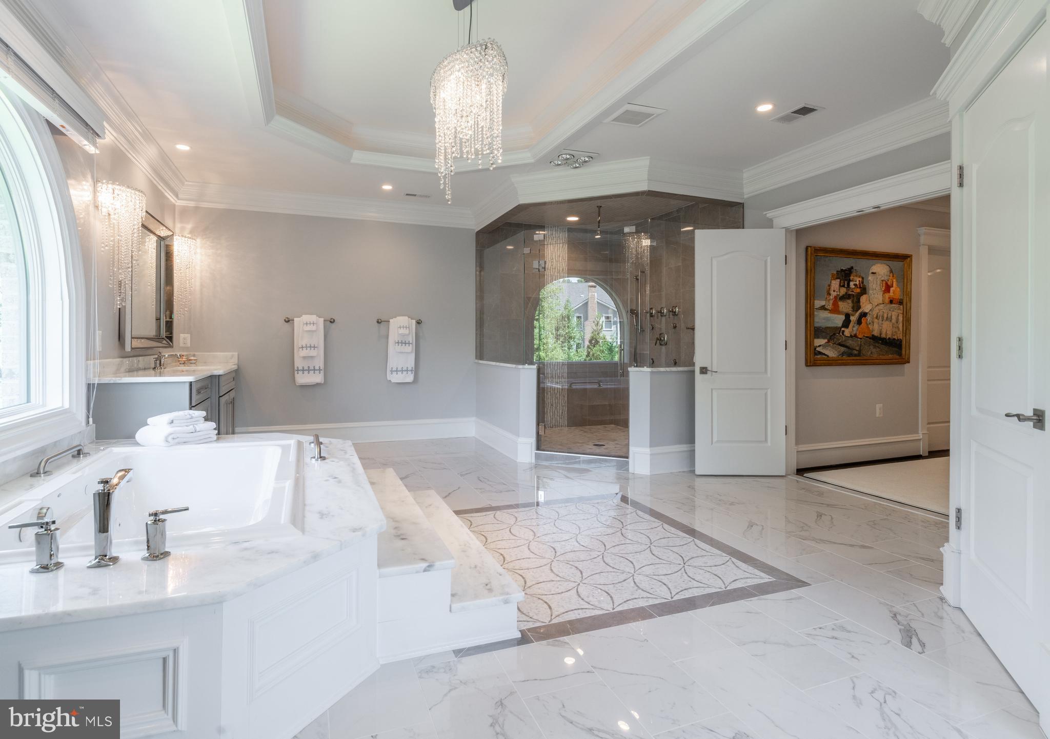 725 Springvale Road Great Falls, VA 22066 - Photo 22 of 50 Master Bath with jetted tub & glass shower