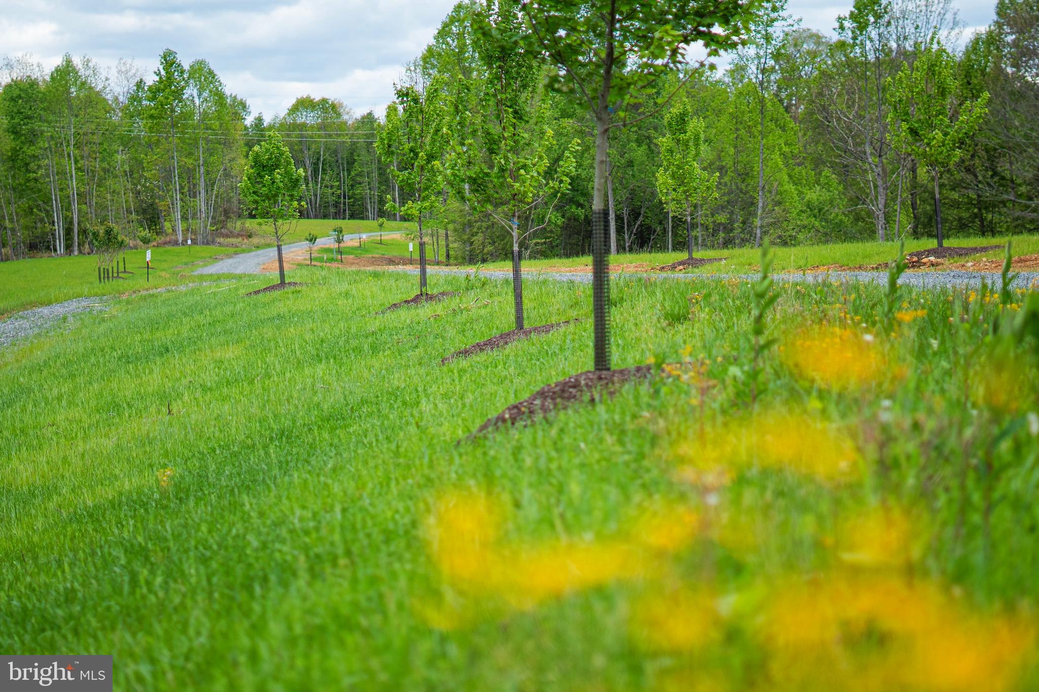 Lot 12 Gauley Ridge Rd Mount Mount Nebo, WV 26679 - Photo 5 of 12