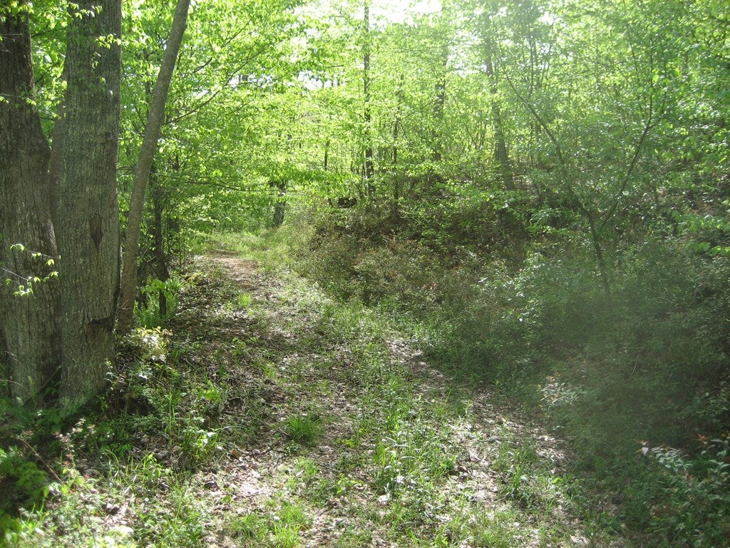 654 Silver Leaf Road, Unit 33 Dugspur, VA 24325 - Photo 9 of 13 Gallery Image 9