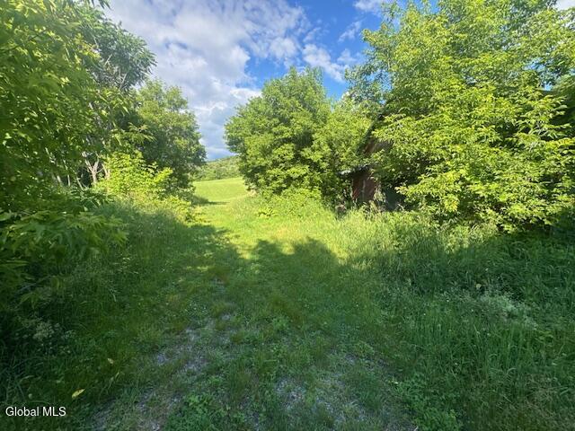 25 William Cipperly Road Hoosick, NY 12090 - Photo 49 of 53 IMG_6555