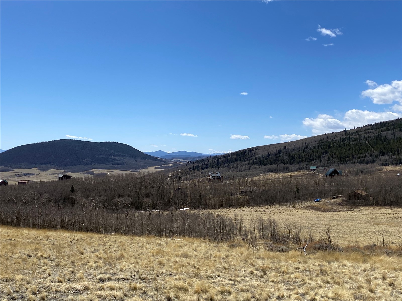 290 Sheep Ridge Road Fairplay, CO 80440 - Photo 19 of 40 Gallery Image 19