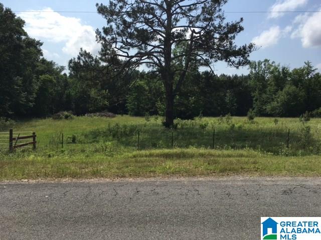 37-acres Joy Road, Unit 37 ACRES Hayden, AL 35079 - Photo 15 of 17