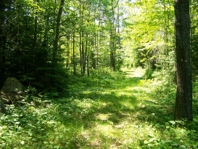 W6977 Loop Road Tomahawk, WI 54487 - Photo 16 of 18 Gallery Image 16