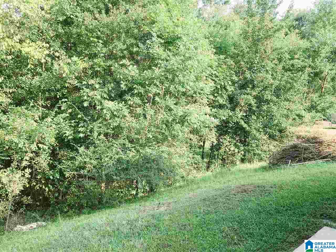 403 Walker Way Pelham, AL 35124 - Photo 13 of 47