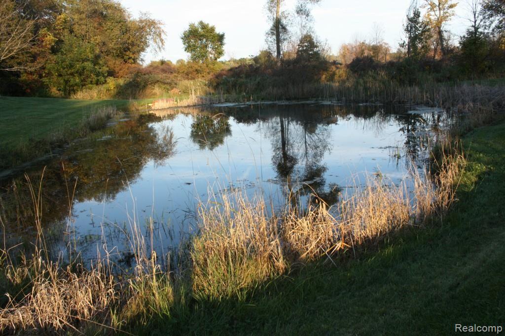 5067 Mason Road Howell, MI 48843 - Photo 31 of 43 16' pond