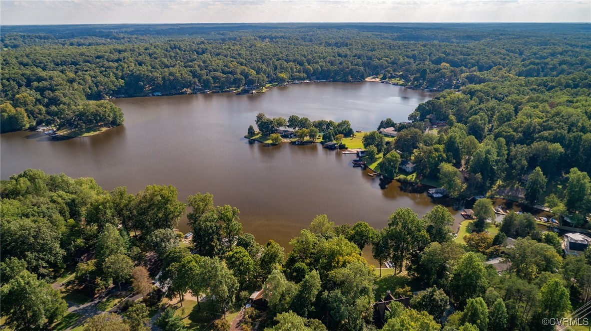 64 Pine Road Louisa, VA 23093 - Photo 5 of 45 an aerial view of green landscape with trees houses and lake view