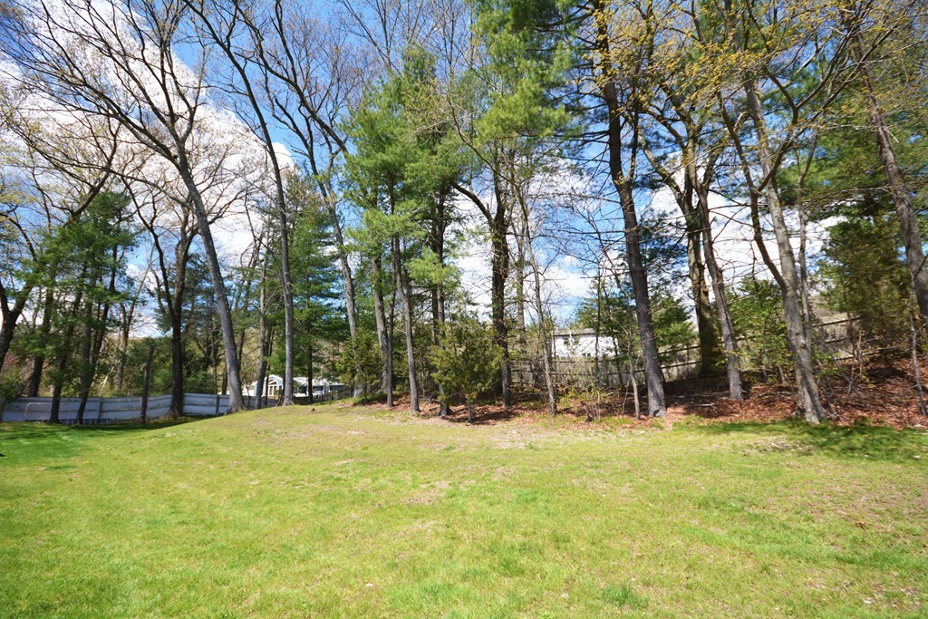 13 Baniulis Road Billerica, MA 01821 - Photo 4 of 28 Gallery Image 4