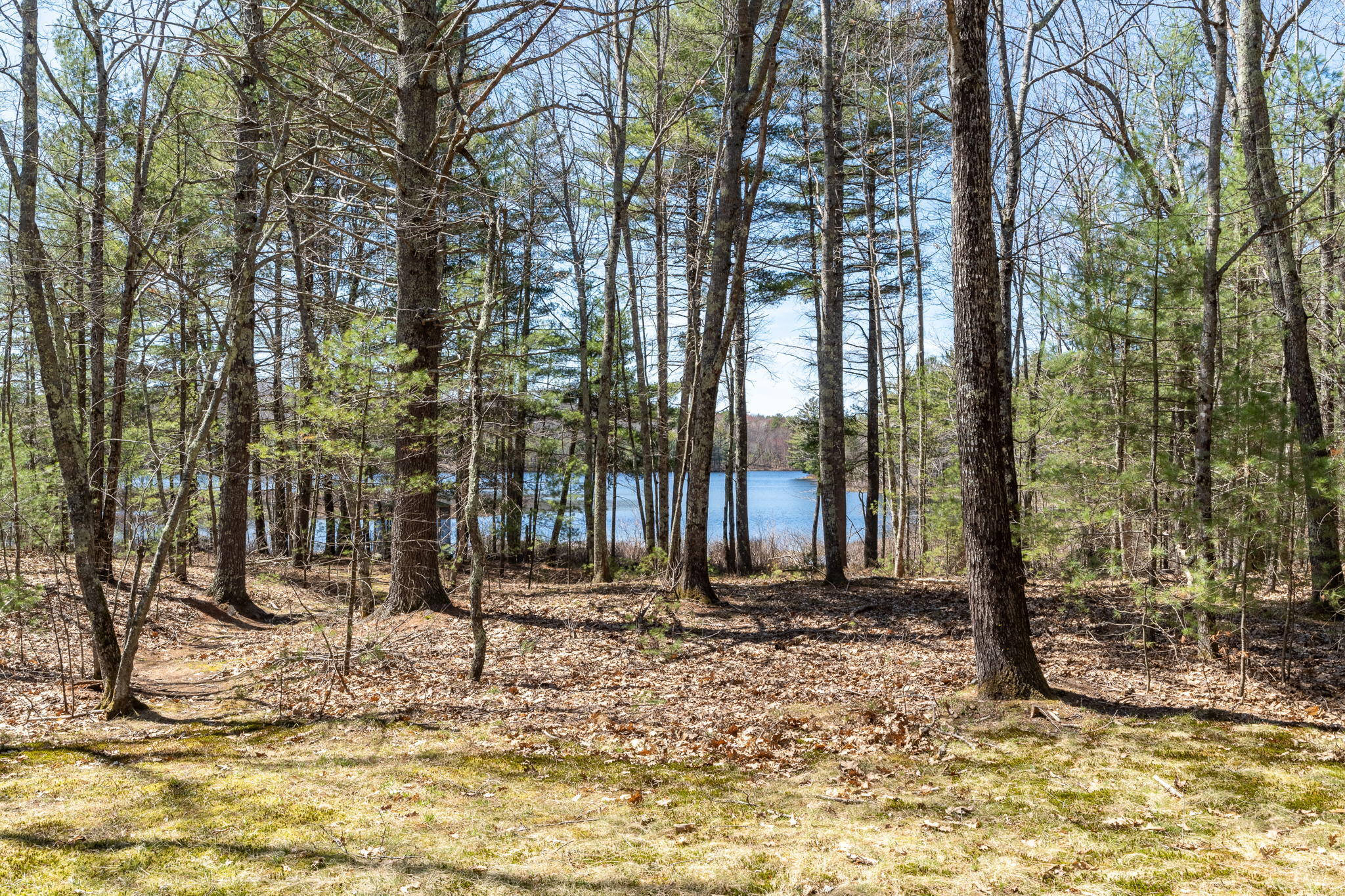 34 Roberts Pond Road Lyman, ME 04002 - Photo 62 of 63 34RobertsPond-78