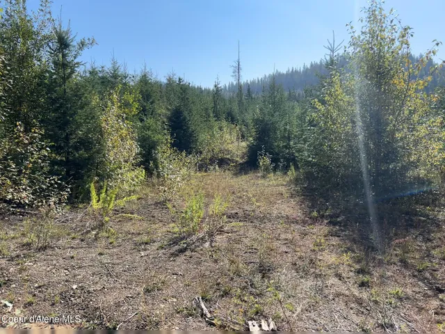 $172,000 | 4 Nka Tract Clark Fork, Clark Fork, ID 83811