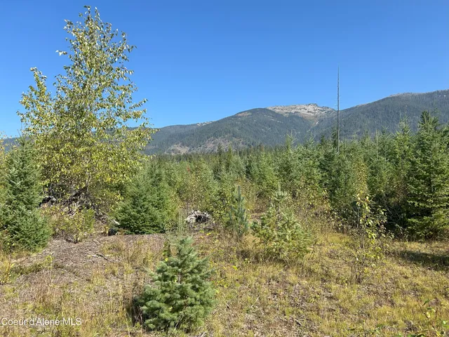 $172,000 | 4 Nka Tract Clark Fork, Clark Fork, ID 83811