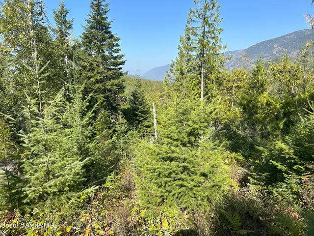 $172,000 | 4 Nka Tract Clark Fork, Clark Fork, ID 83811