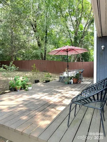 a view of a yard with plants and large trees