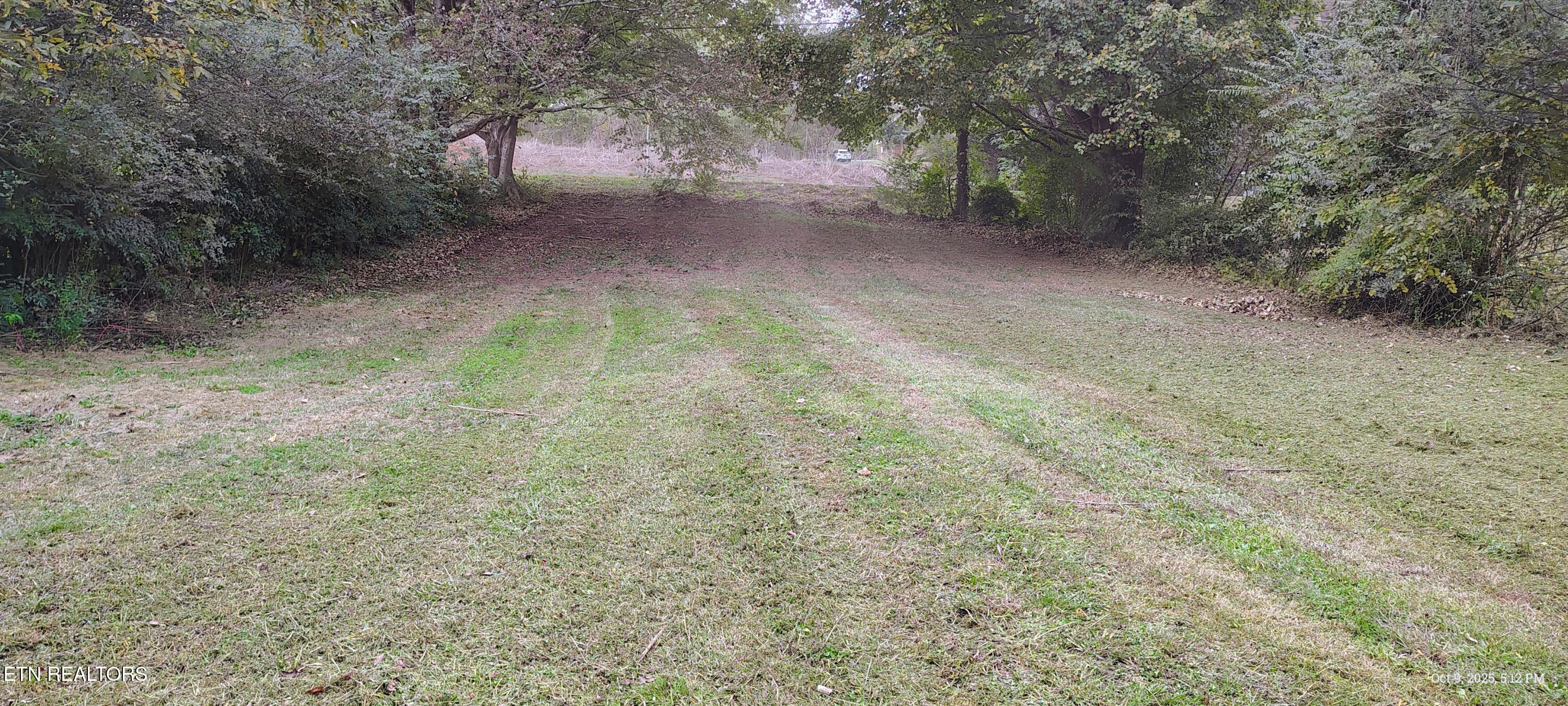 206 County Road 738 Riceville, TN 37370 - Photo 6 of 9 large back yard