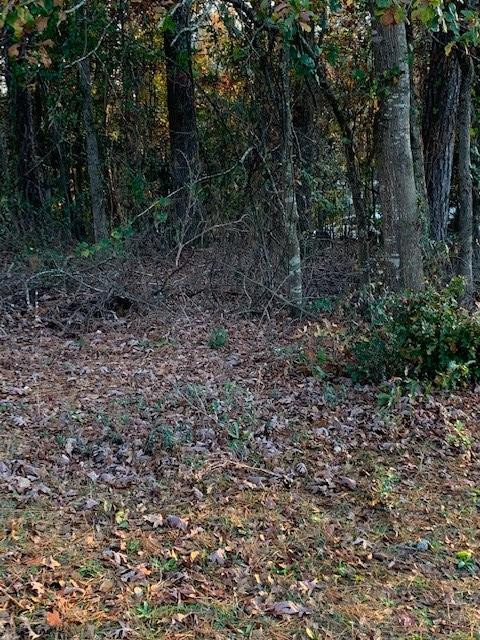 2904 Mock Road Augusta, GA 30909 - Photo 8 of 36