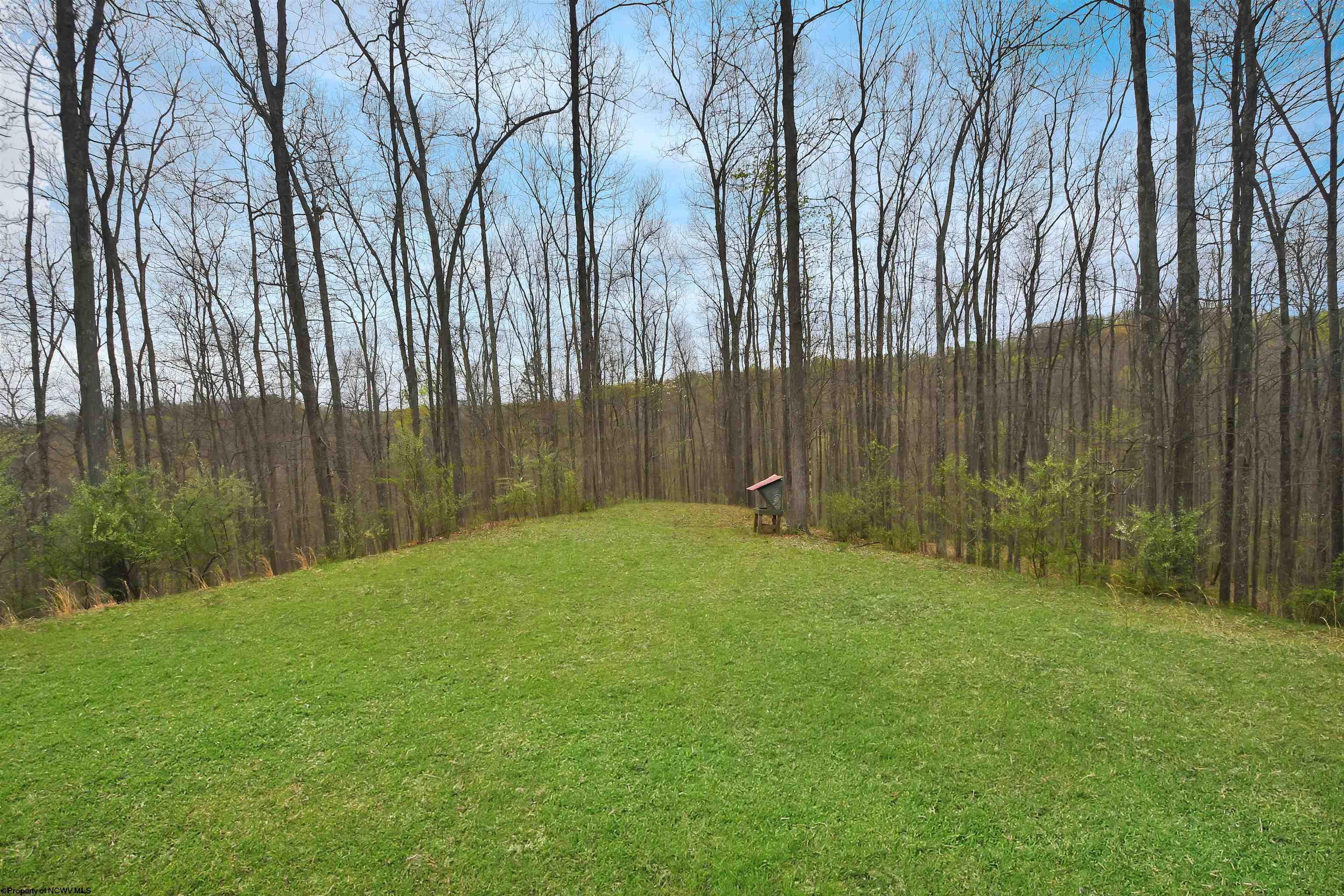 3035 Pullman Road Harrisville, WV 26362 - Photo 25 of 30 Gallery Image 25
