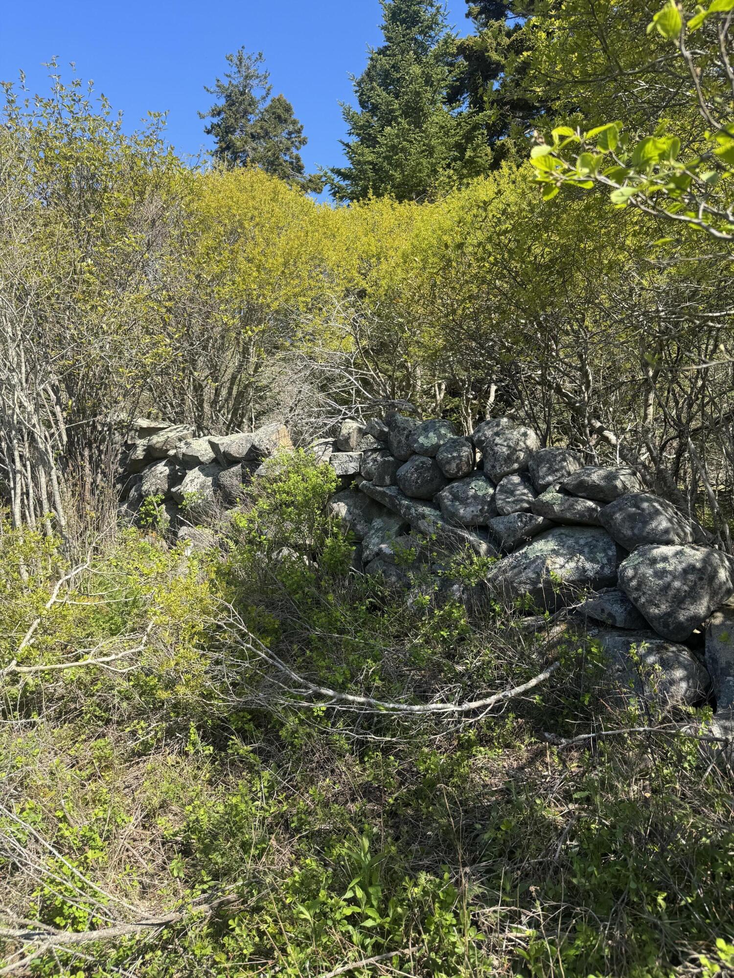 Lot #5 George Wright Road Vinalhaven, ME 04863 - Photo 22 of 29 IMG_8320