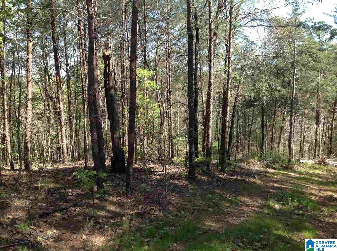 Solitude Drive, Unit 19 Clanton, AL 35046 - Photo 3 of 5