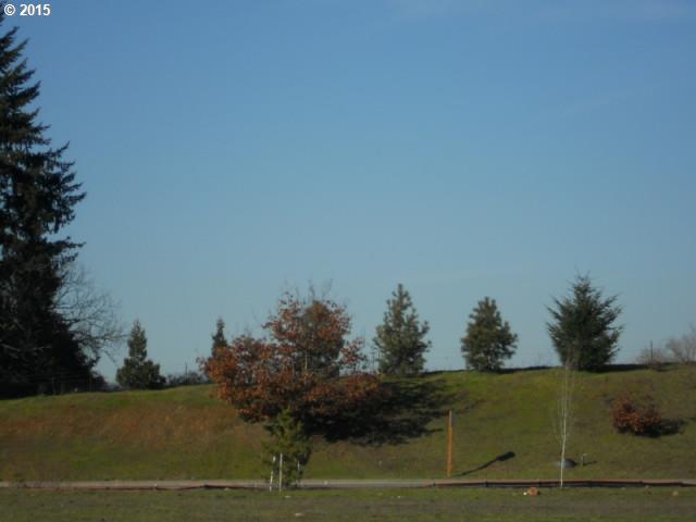 0 Southeast Battlecreek Road Salem, OR 97302 - Photo 4 of 8 a view of a lake