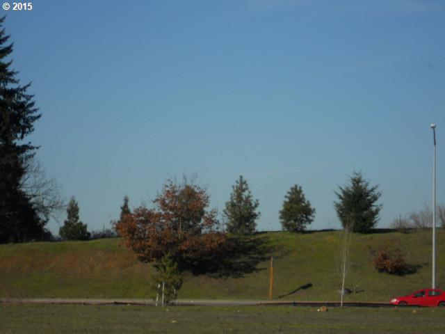 0 Southeast Battlecreek Road Salem, OR 97302 - Photo 5 of 8 a view of a lake