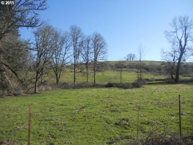 0 Southeast Battlecreek Road Salem, OR 97302 - Photo 6 of 8 a view of garden