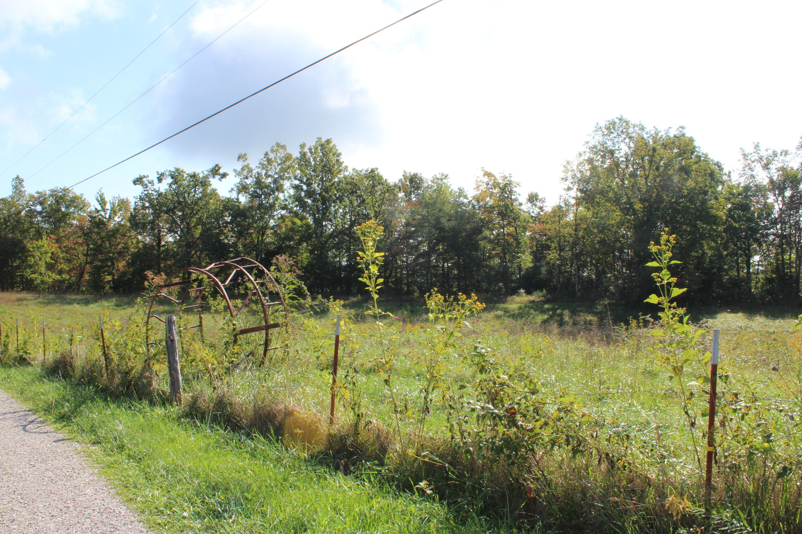4500 Buzzard Roost Road Jamestown, TN 38556 - Photo 16 of 20 016