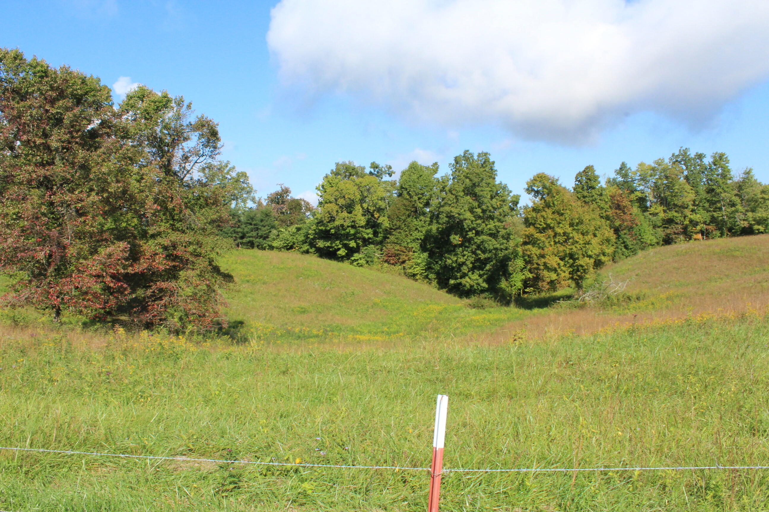 4500 Buzzard Roost Road Jamestown, TN 38556 - Photo 19 of 20 019