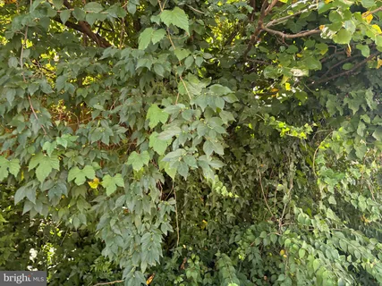 $150,000 | 5623 Annapolis Road, Bladensburg, MD 20710