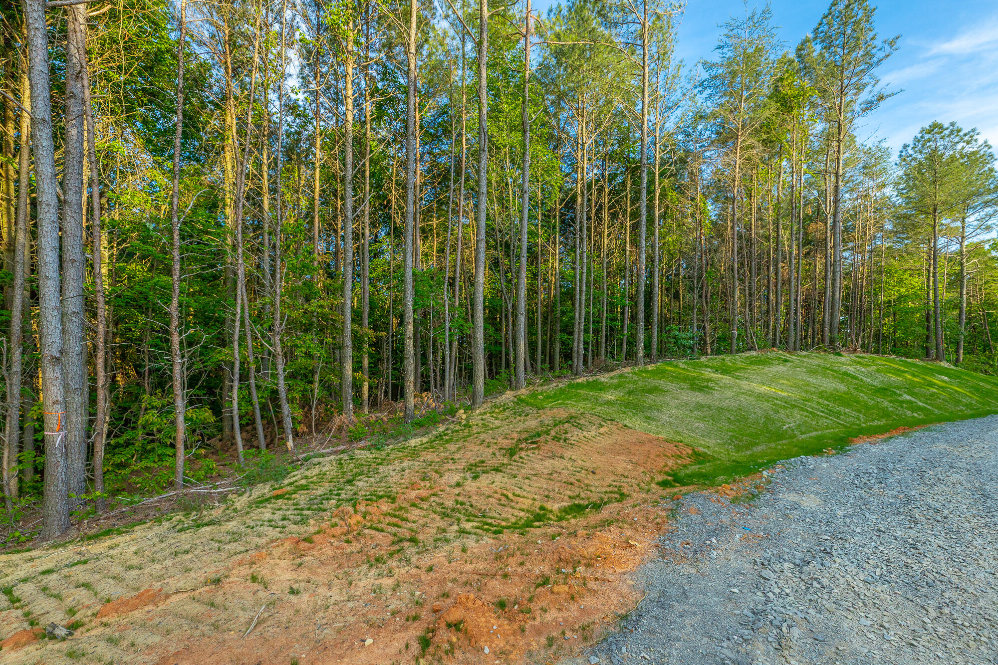 0 Cannon Way, Unit LOT 1317 Guild, TN 37340 - Photo 14 of 99 0 Cannon Way - Lot 1317 HD-60