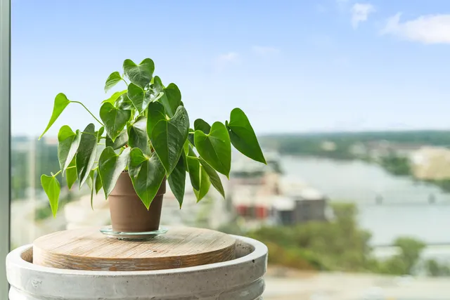 $2,650 | 335 Bridge Street Northwest, Unit 1705, Grand Rapids, MI 49504