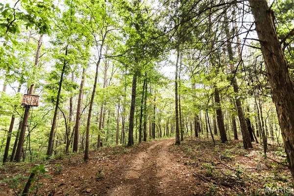 $1,899,900 | 32315 County Road 325, Salem, MO 65560