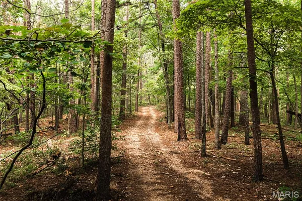 $1,899,900 | 32315 County Road 325, Salem, MO 65560