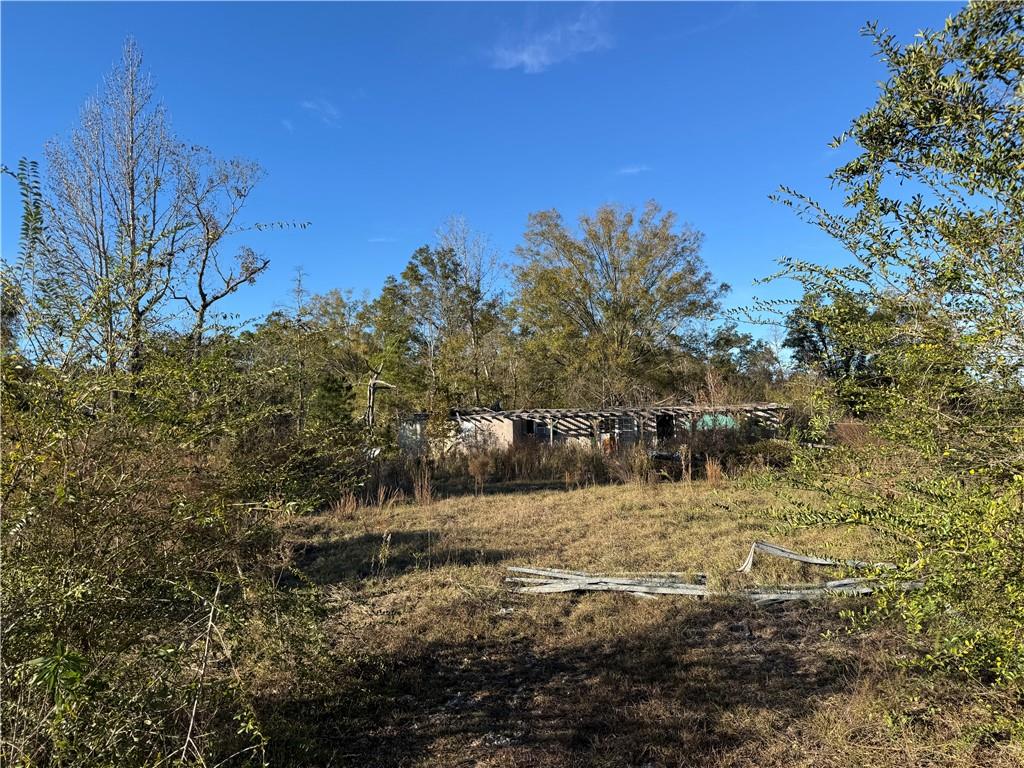 1 F Barnum Road Springfield, LA 70462 - Photo 3 of 5