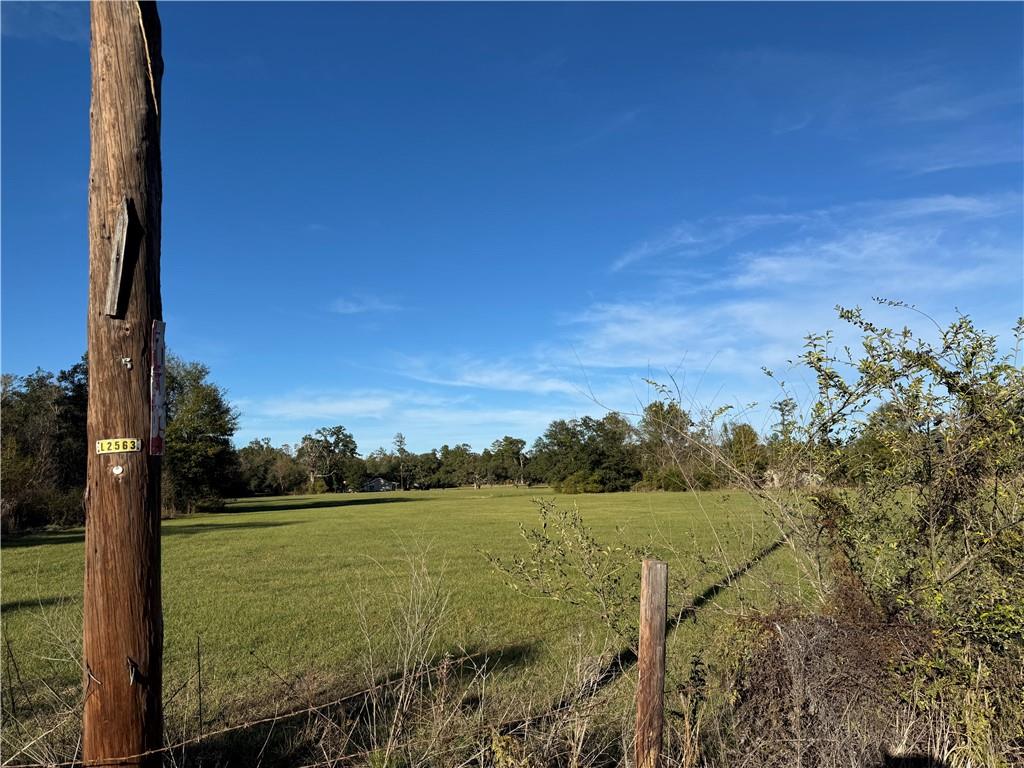 1 F Barnum Road Springfield, LA 70462 - Photo 4 of 5