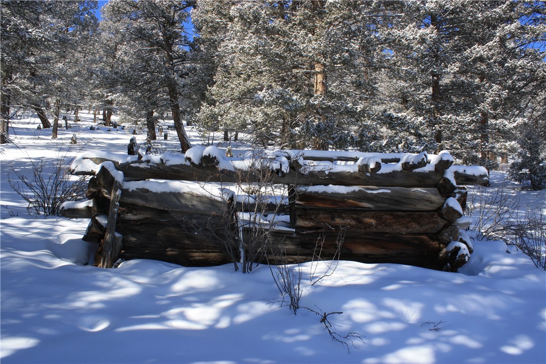 3041 Redhill Road Fairplay, CO 80440 - Photo 10 of 23 Gallery Image 10