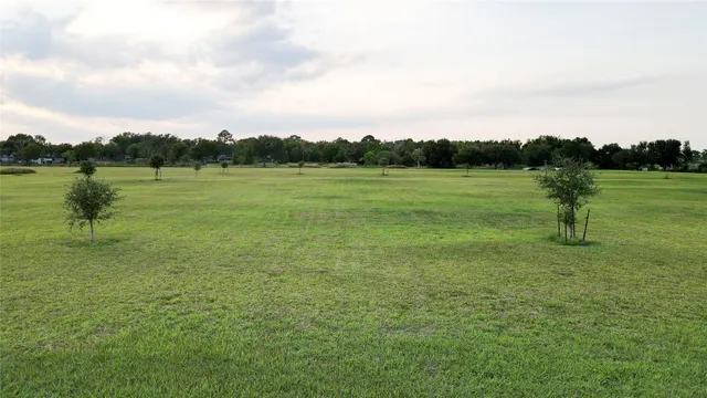 a view of a lake with trees in the background