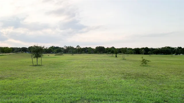 a view of park with trees
