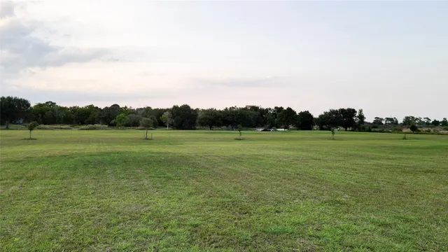a view of a water with a large trees
