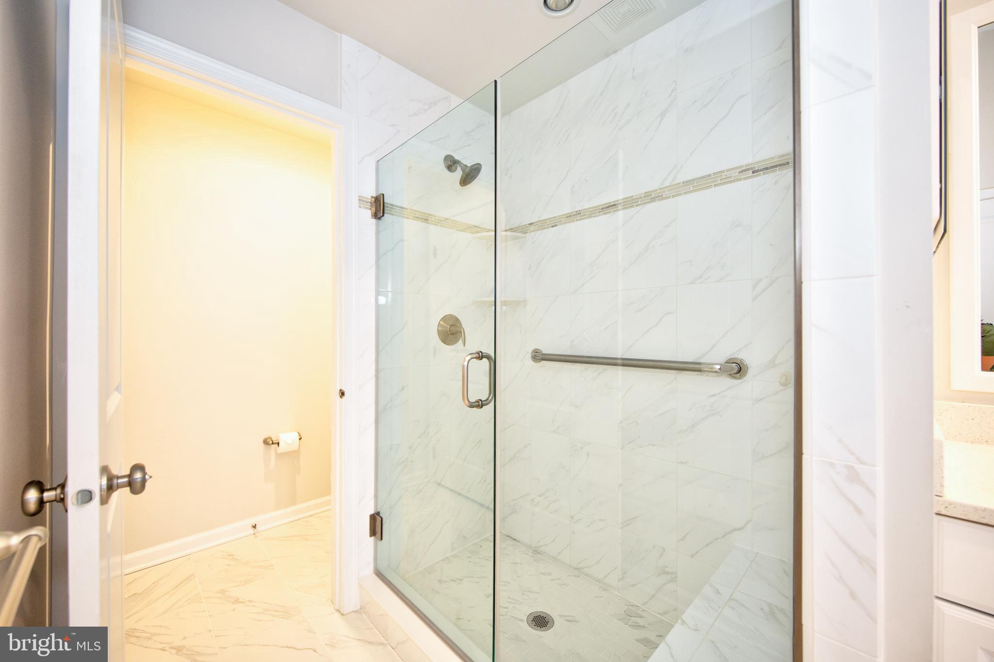 338 Spruce Pine Road Abingdon, MD 21009 - Photo 18 of 32 LUXURY SHOWER