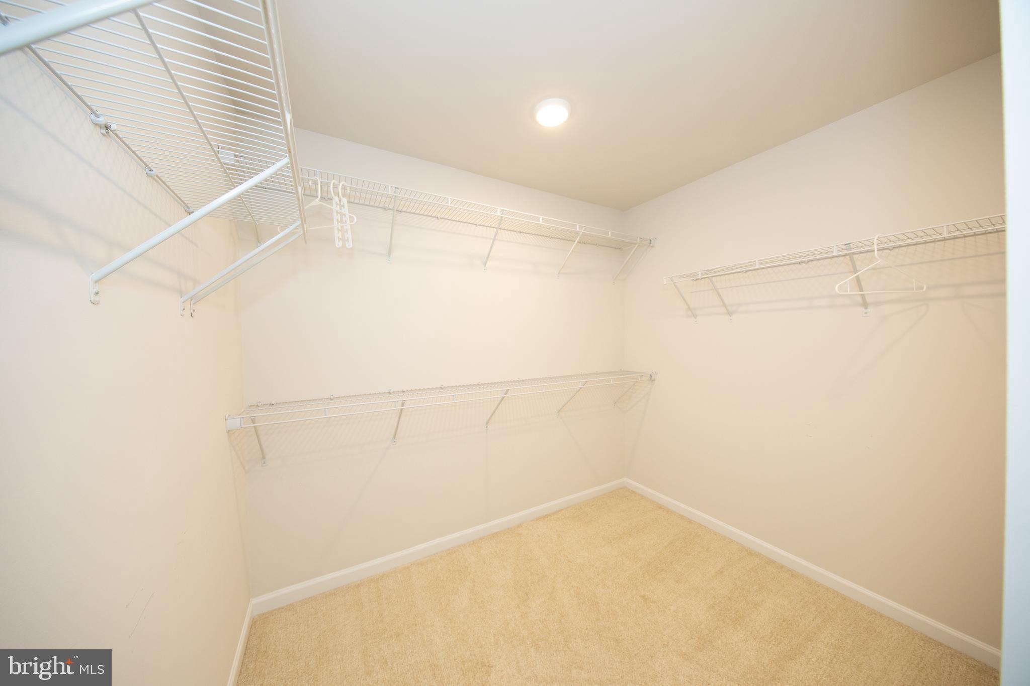 338 Spruce Pine Road Abingdon, MD 21009 - Photo 19 of 32 WALK-IN CLOSET
