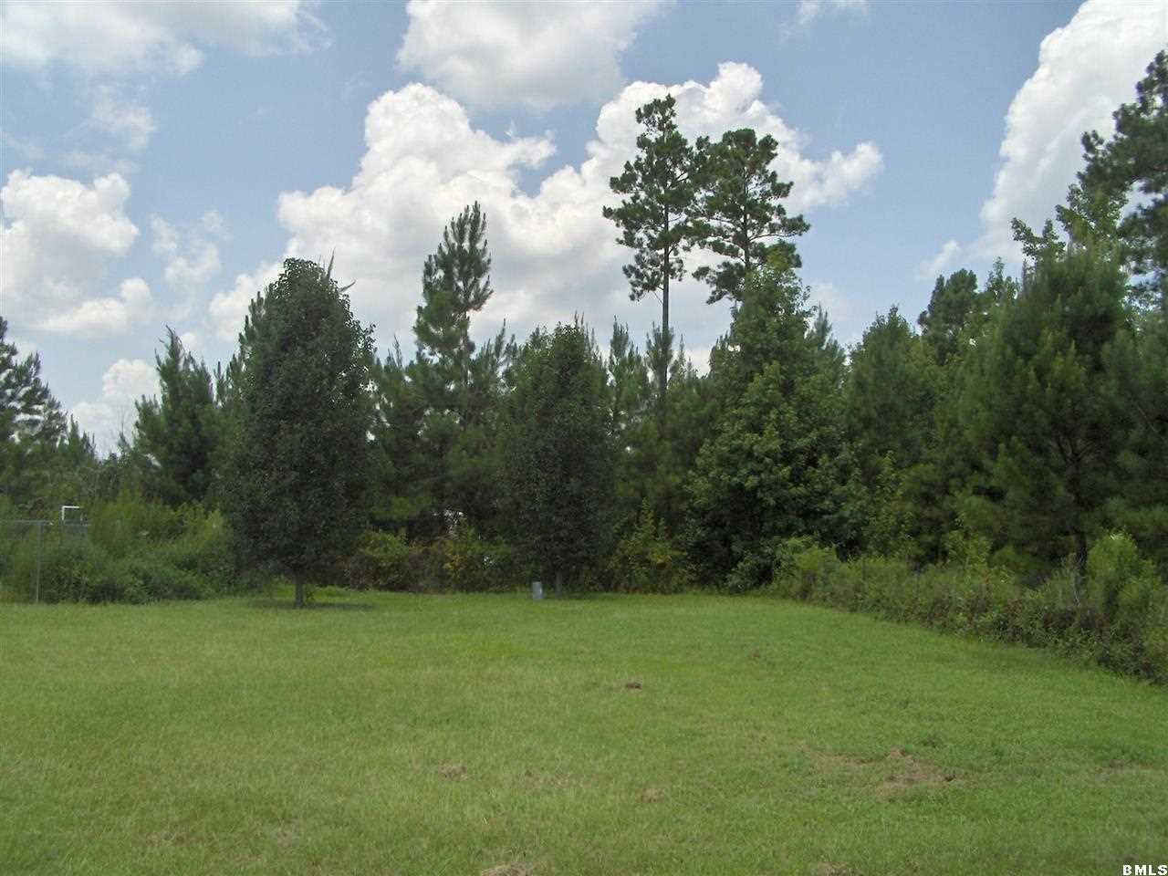50 Hickory Ridge Road Varnville, SC 29944 - Photo 20 of 25 Additional Photo