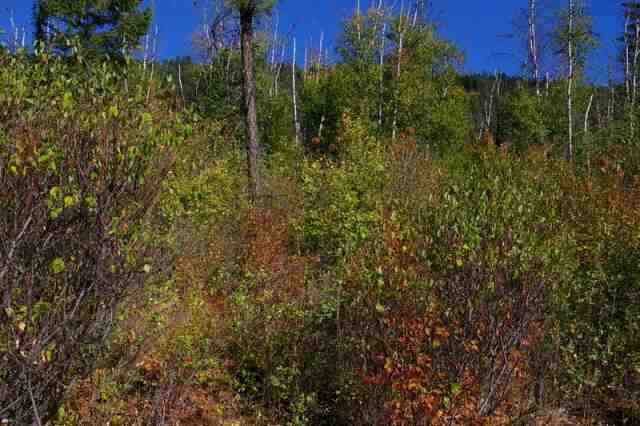 0 Off N Leclerc Road Ione, WA 99139 - Photo 2 of 7 Gallery Image 2