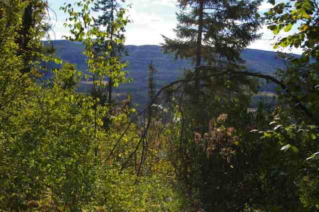 0 Off N Leclerc Road Ione, WA 99139 - Photo 3 of 7 Gallery Image 3