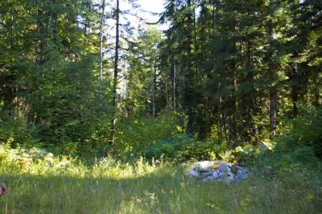 0 Off N Leclerc Road Ione, WA 99139 - Photo 5 of 7 Gallery Image 5