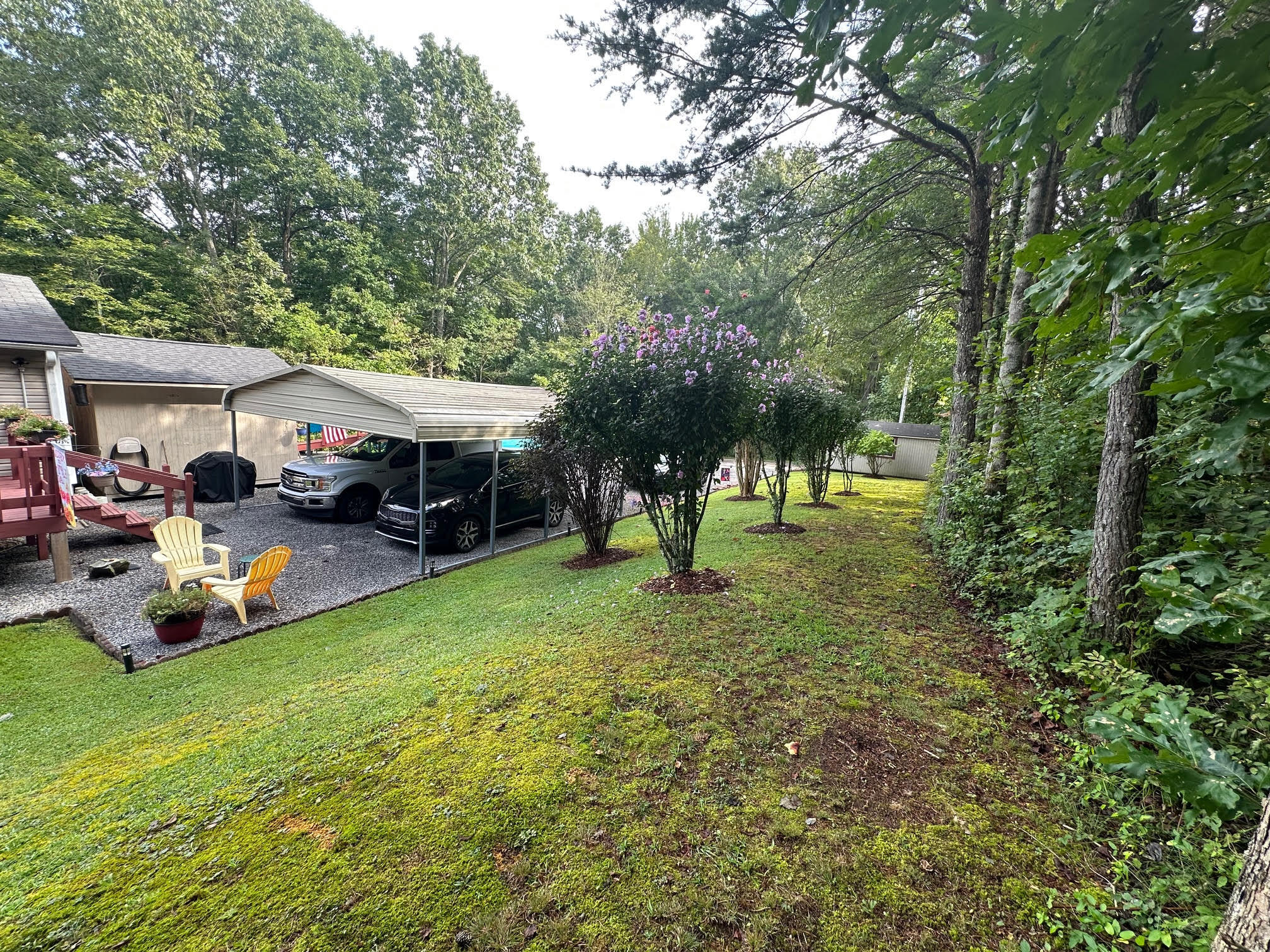 434 D Harvey Road Graysville, TN 37338 - Photo 46 of 49 Bloom 3