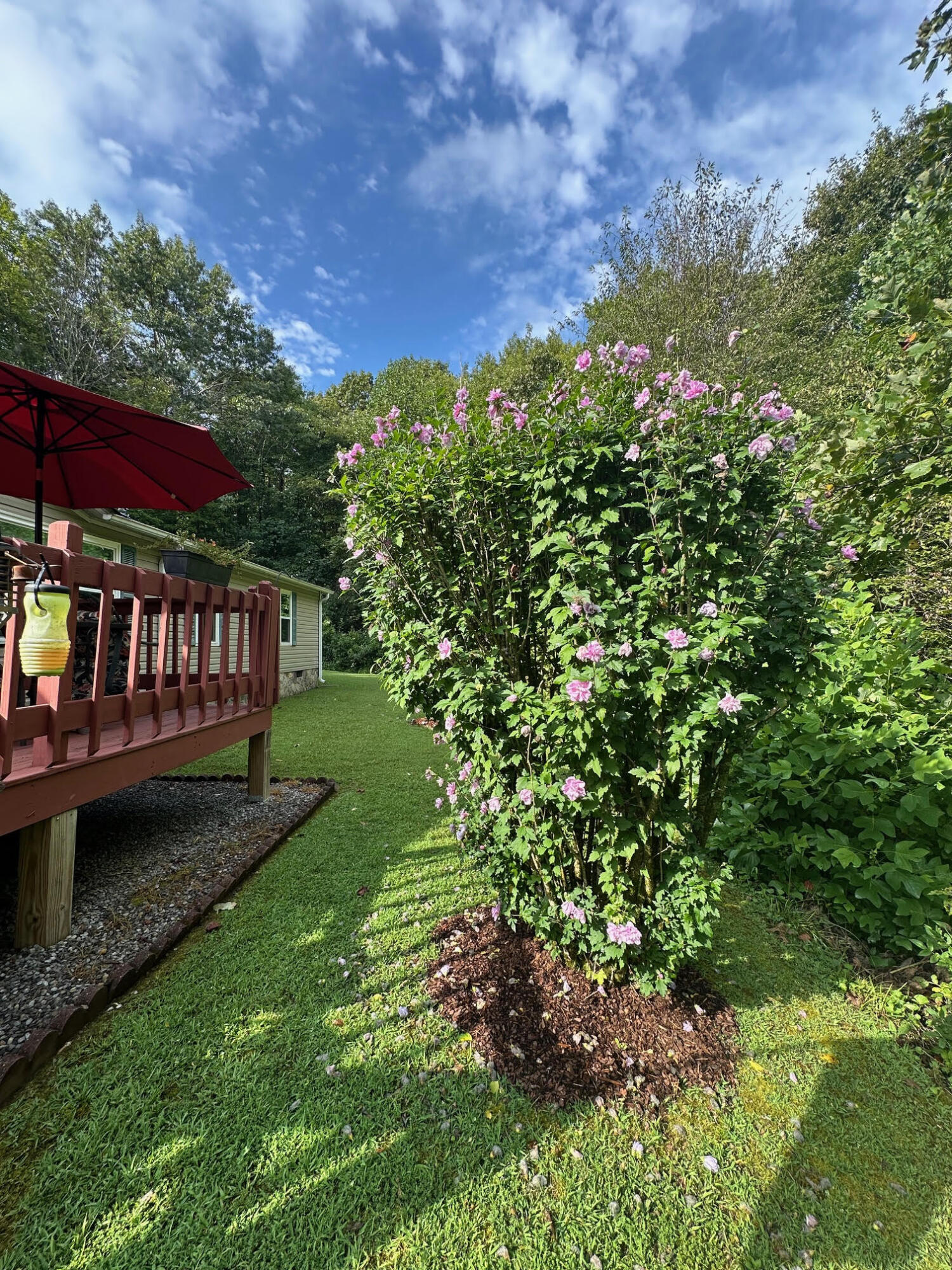 434 D Harvey Road Graysville, TN 37338 - Photo 48 of 49 Bloom 2