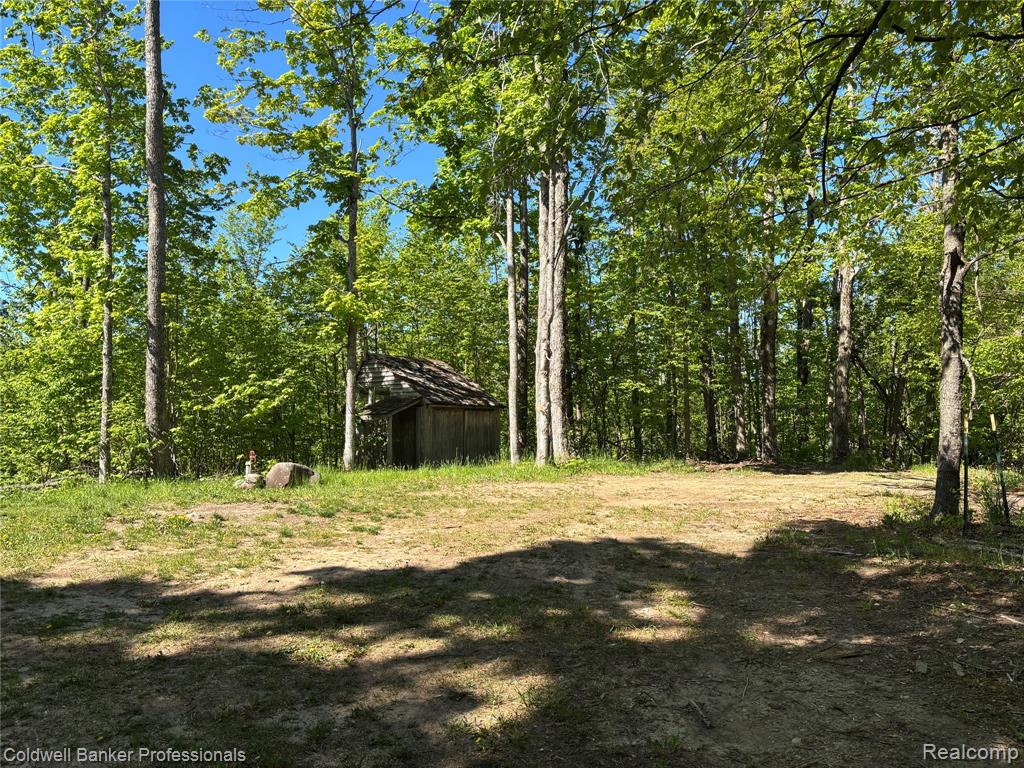 11560 Ashman Hill Road Boyne Falls, MI 49713 - Photo 21 of 22