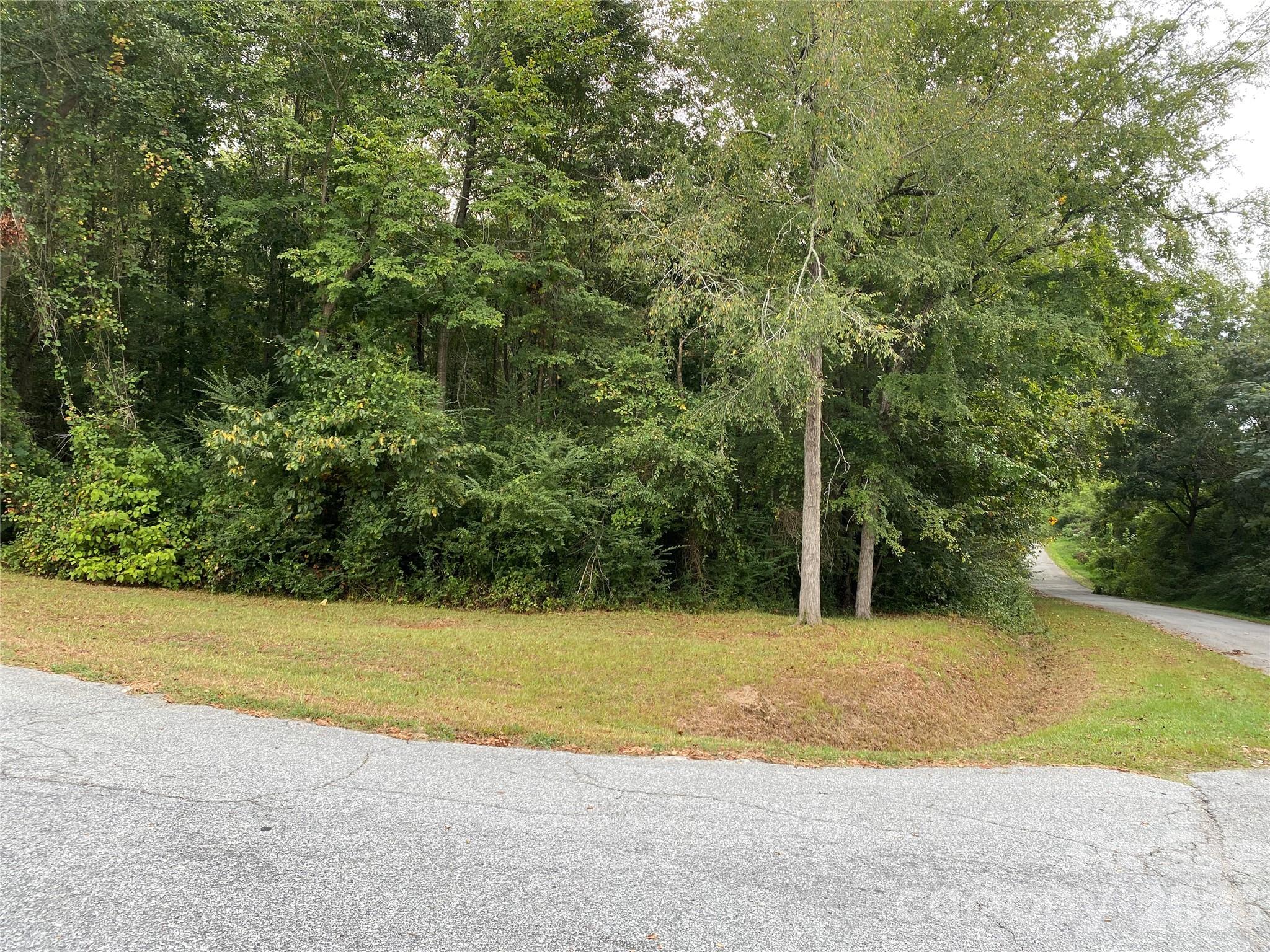 245 Slayton Street Whitmire, SC 29178 - Photo 2 of 6 Gallery Image 2