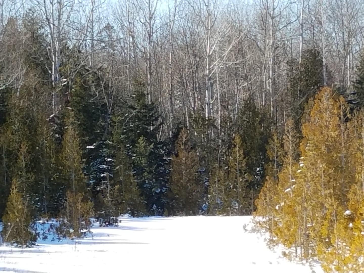 Boundary Rd Street St. Ignace, MI 49781 - Photo 21 of 24 Gallery Image 21