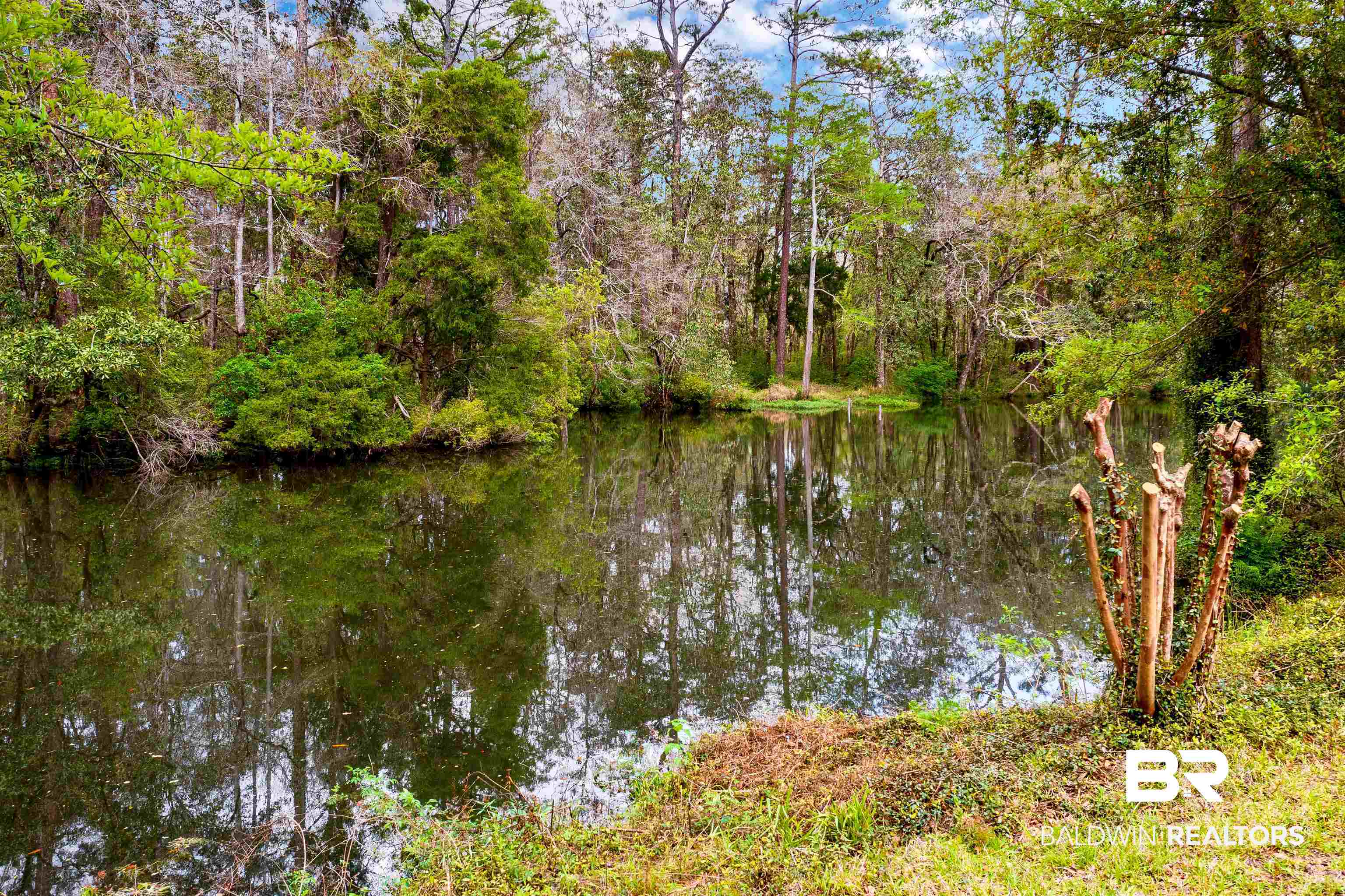 12831 Clay City Road Fairhope, AL 36532 - Photo 5 of 47 Fish River